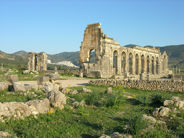 volubilis.png